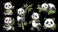 Cute panda bear clipart set with bamboo, isolated on transparent background. Six playful poses, great for stickers, t-shirt design, print on demand, and sublimation.