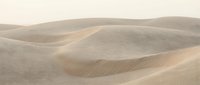 Endless sand dunes create flowing curves and gentle slopes in warm beige tones, capturing the serene beauty of desert landscape in soft natural lighting.