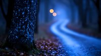 Mystical blue illuminated forest path at night with glowing orbs in distance, creating ethereal atmosphere for fantasy or mystery concepts.