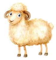 Cute watercolor sheep with curly horns and fluffy wool coat isolated on white background for children books, nursery decor and farm animal designs.