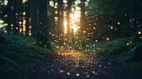 Magical forest path at sunset with glowing fireflies creating enchanting atmosphere along mossy ground, sunbeams streaming through pine trees in mystical woodland scene.