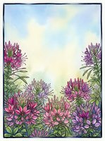 Watercolor cleome flowers in pink and purple frame a soft pastel sky, creating a charming botanical border with copy space for text.