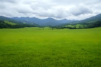 Dramatic mountain landscape with vibrant green meadow stretching to distant peaks under moody cloudy sky, creating serene natural scenery for environmental themes.