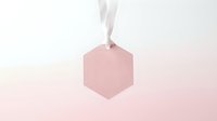 Pink hexagonal gift tag with white ribbon on soft gradient background for branding and packaging design projects.