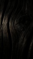 Dark weathered wood grain texture with natural knots and vertical lines creating rustic surface pattern for interior design and construction projects.