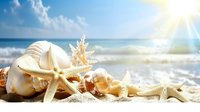 Seashells and starfish on sandy beach with ocean waves and bright sunlight, summer vacation concept for travel and relaxation backgrounds.