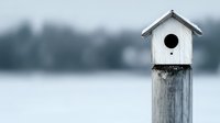 White wooden birdhouse on weathered post against blurred winter background, minimalist nature composition with soft bokeh effect and copy space.