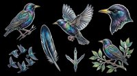 Iridescent starling birds with metallic plumage isolated on transparent background, ready for t-shirt designs, clipart, stickers, sublimation and print-on-demand products.