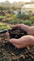 Hands holding rich dark soil in organic vegetable garden with greenhouse and raised beds during golden hour sunset for sustainable farming and gardening.