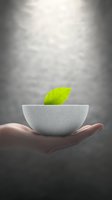 Hand holding white ceramic bowl with bright green leaf against dark background, symbolizing wellness, mindfulness and natural balance.
