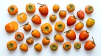 Fresh ripe persimmon fruits collection arranged on white background showing orange golden colors and natural stems for healthy eating concepts.