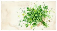Fresh green parsley bunch tied with twine, watercolor painting on aged paper background with paint splashes, culinary herb art.