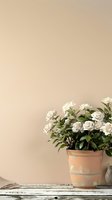 White roses in terracotta pot on vintage wooden table against beige wall, creating serene minimalist composition with soft natural lighting and copy space.
