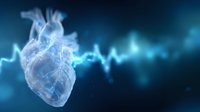 Anatomically accurate heart model with glowing blue pulse wave on dark background, representing cardiac health monitoring and medical technology.