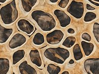 Natural organic pattern of dried lotus root cross section showing characteristic holes and cellular structure in brown and beige tones, macro photography.