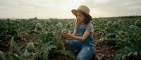Young girl in denim overalls and straw hat examining plants in agricultural field during golden hour sunset, representing sustainable farming and childhood connection to nature.