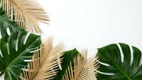 Tropical palm leaves and monstera foliage frame creating natural border on white background for summer vacation and exotic travel concepts.