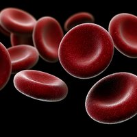 Red blood cells floating on black background, microscopic view showing detailed cellular structure of erythrocytes in plasma for medical and scientific concepts.
