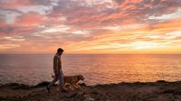 Man walking dog on beach at sunset with golden sky and ocean horizon, suitable for lifestyle and pet-related designs.