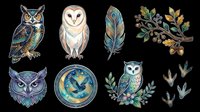 Owl species collection with feathers and foliage, isolated on transparent background. Ready for t-shirt designs, clipart, stickers, sublimation, print-on-demand products, and digital crafts.