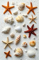 Overhead flat lay arrangement of orange and tan starfish with assorted seashells and sand on white background, suitable for coastal, beach, and summer design projects.