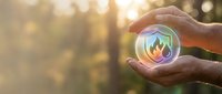 Hand holding glowing sphere with fire and water symbols in forest setting, representing environmental conservation, renewable energy, and sustainable development concepts.
