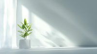 Minimalist green plant in white ceramic pot on windowsill with soft natural sunlight and shadow play creating serene atmosphere. Perfect for wellness and mindful living concepts.