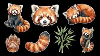 Cute red pandas isolated on transparent background, ready for t-shirt designs, stickers, clipart, sublimation and print-on-demand products. Includes sitting poses, face close-up, paw print and bamboo elements.