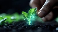 Young green sprout growing from soil with magical glowing effect and human hand reaching towards it, representing growth, nature, and environmental sustainability.