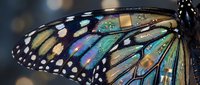 Iridescent butterfly wing with embedded circuit board patterns, blending nature and technology in a futuristic macro concept with bokeh background.