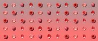 Pink coral geometric pattern with spheres and spiky balls on gradient background. Modern abstract design for wallpaper, textile, packaging decoration.