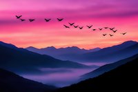 Silhouettes of birds flying over misty mountain ranges at sunset with vibrant pink and purple sky creating dreamy atmospheric landscape for wall art and nature prints.