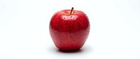 Fresh red apple with water droplets isolated on white background, suitable for food, nutrition, health and wellness design projects.