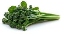 Fresh green broccolini bunch with tender stems and florets isolated on white background, ready for healthy cooking and food photography.