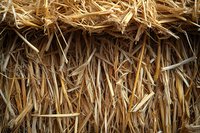 Close-up of dry golden straw texture showing natural hay bale detail for agricultural or rustic background use.