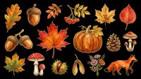 Autumn fall leaves acorns pumpkin mushrooms berries fox isolated on transparent background, ready for t-shirt design, clipart, stickers, sublimation and print-on-demand projects.