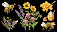 Honey bee clipart set with wildflowers, sunflowers, honeycomb, and honey jar, isolated on transparent background, ready for stickers, t-shirt design, and print on demand.