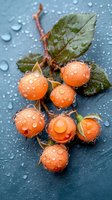 Fresh orange berries with water droplets on dark background, macro photography showing detailed texture of wet fruit and green leaves in natural light.