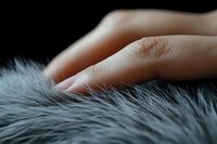Gentle female hand touching soft gray fur texture in dramatic lighting, creating intimate sensory moment against dark background. Close-up macro photography.