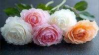 Fresh pink, white and peach roses with green leaves arranged on dark background, soft focus close up view showing delicate petals and natural floral texture.