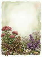 Watercolor botanical border with succulents and wildflowers on vintage textured paper background for greeting cards and stationery design.