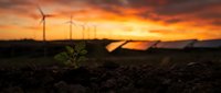 Small green plant seedling growing from dark soil with wind turbines and dramatic orange sunset sky in background representing renewable energy and growth.