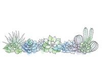 Watercolor succulent garden border with cacti and desert plants in pastel green and blue tones on white background for botanical design projects.