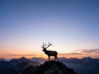 Silhouette of a majestic deer with large antlers standing on a rocky mountain peak at sunrise, surrounded by misty alpine landscape and golden sky for nature and wildlife concepts.