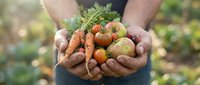 Farmer holding freshly harvested organic carrots and tomatoes in cupped hands, showcasing farm-to-table produce for agriculture and gardening content.