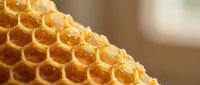 Golden honeycomb with hexagonal cells filled with fresh honey, natural beekeeping product, organic sweetener for culinary and wellness applications.