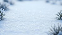 Fresh snow surface with evergreen pine branches creating natural winter frame for seasonal backgrounds and holiday designs.