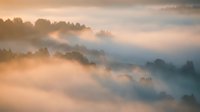 Misty morning landscape with rolling hills covered in fog at sunrise creating dreamy atmospheric layers of soft clouds and warm golden light over forested terrain.