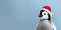 Baby penguin wearing red Santa hat against light blue background, perfect for holiday greeting cards and winter season designs.