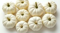 Fresh white mini pumpkins arranged on white background, organic autumn harvest produce for seasonal decoration and cooking, isolated with natural stems.